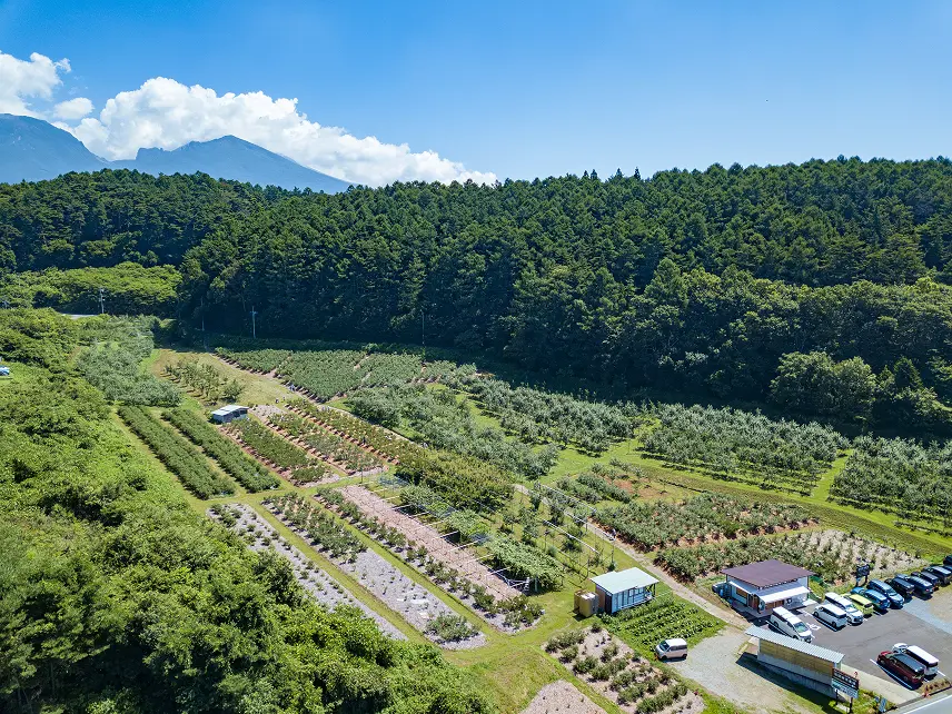 浅間山の麓の農園を上空から見た風景